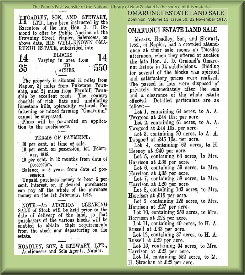 Details and winners of the Omarunui Estate Auction in 1917