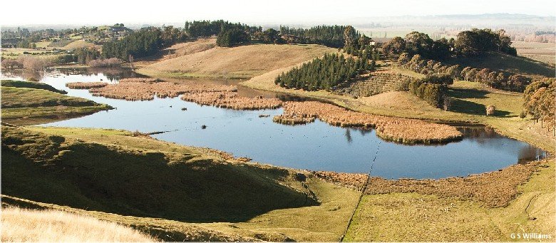 Lake Te Rotokare, full view