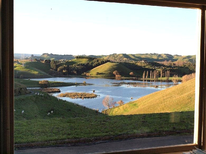 The view through my front window