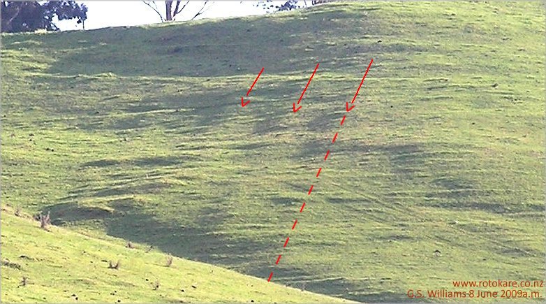 Oueroa trigonometry lines?